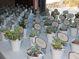 lots of potted succulents with toppers as budget-friendly and eco-friendly wedding favors