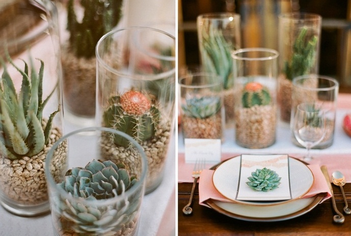 Cactus Plant in a Small Round Cement Pot, Potted Mini Cactus with Black  Rocks, Living Room Decor Minimalist Concept, Blue Stock Photo - Image of  growing, desk: 214619034