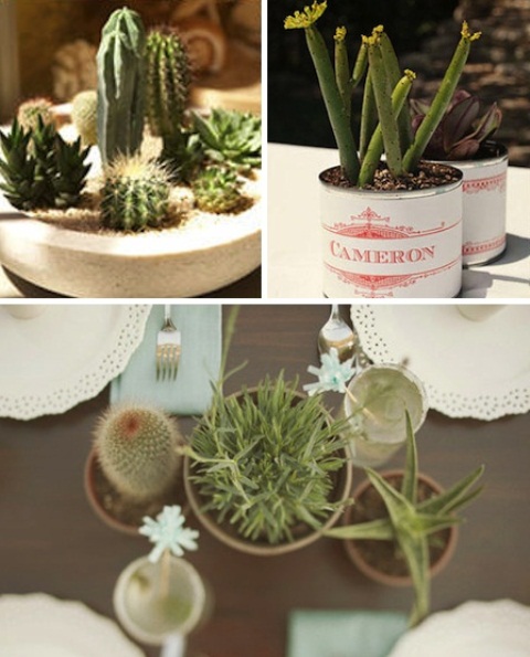 cluster wedding centerpieces of cacti and succulents in pots of various kinds are eco- and budget-friendly ideas for every wedding