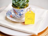 a blue vintage teacup with a succulent as a place setting decoration and wedding favor at the same time