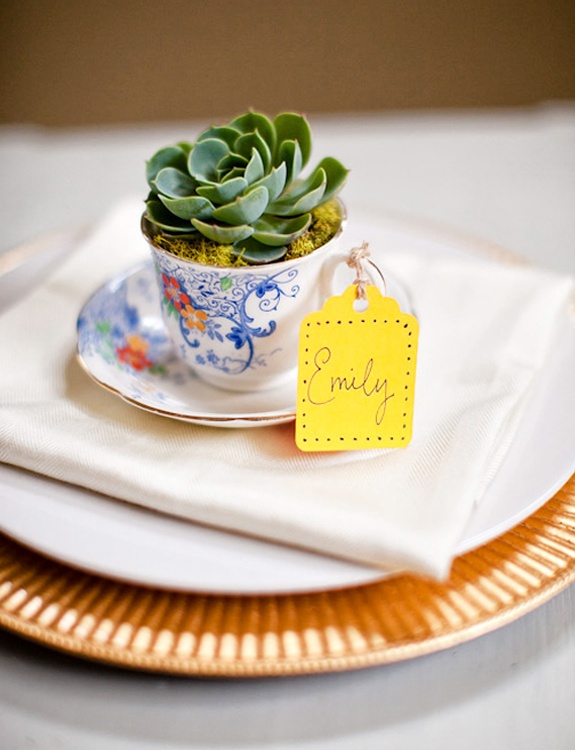 A blue vintage teacup with a succulent as a place setting decoration and wedding favor at the same time