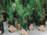 offer mini Christmas trees in cans as your winter bridal shower favors and they will be super cute