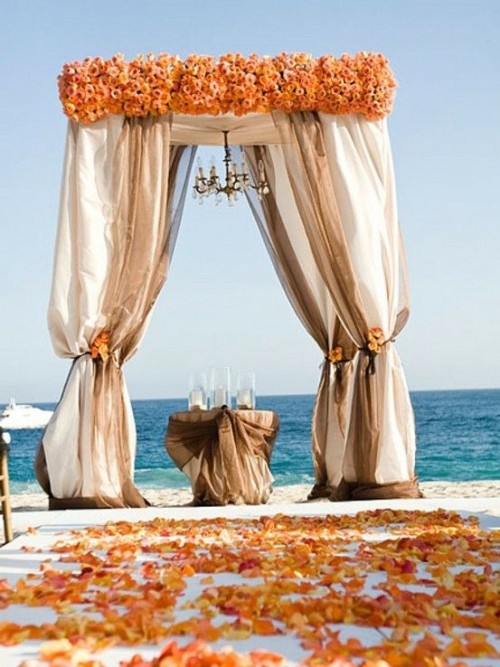 a chic wedding arch with neutral curtains and bokd orange blooms on top, with orange flower petals right on the ground is cool
