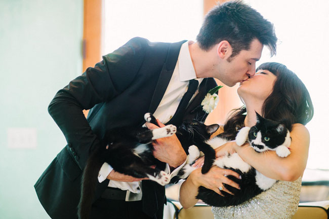 Picture Of chic relaxed and whimsical cat themed wedding  1