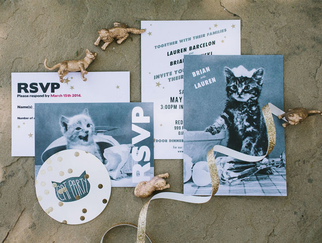 Picture Of chic relaxed and whimsical cat themed wedding  3