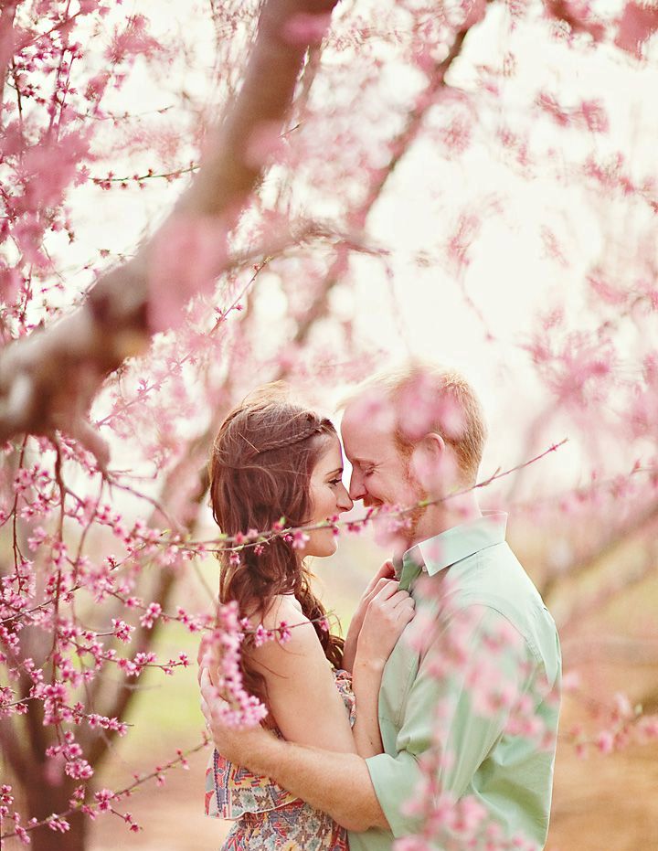 Go to a blooming orchard to take engagement pics that will look ultimate and feel adorably spring like