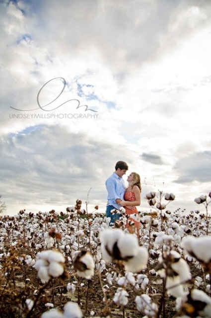 photos taken in a cotton field look super cute and very cozy, they will add  a warming rustic touch