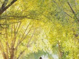 green trees will be a perfect engagement backdrop for a spring photo shoot