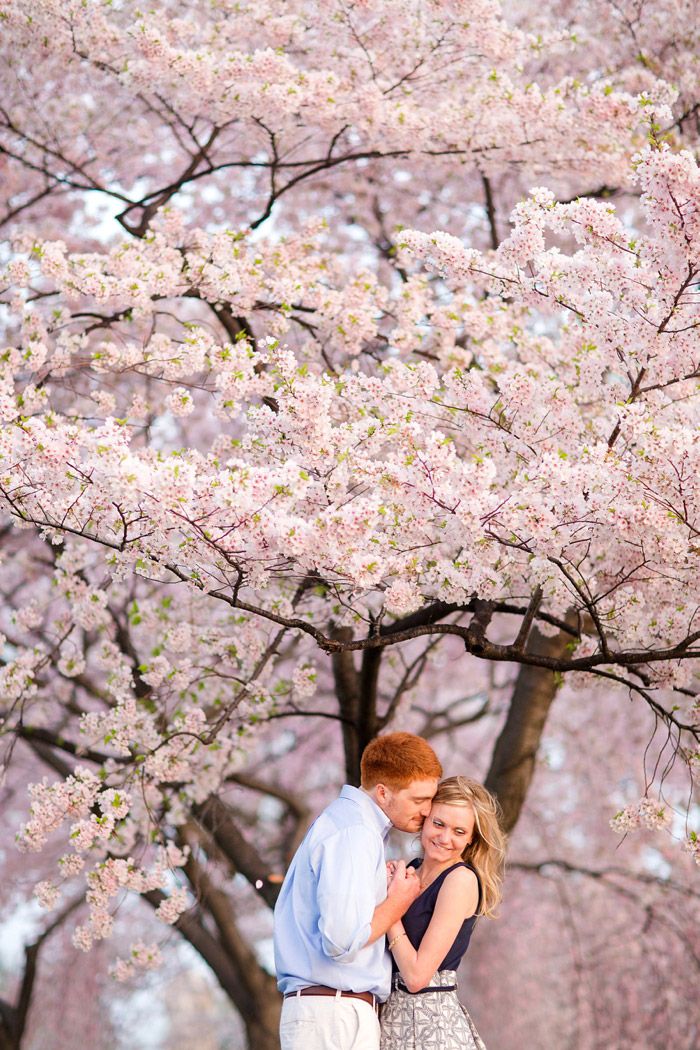 Blooming cherry trees are an adorable and chic spring engagement backdrop that will take your breath away