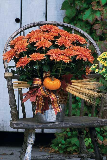 a rustic fall decoration of a bucket, a plaid ribbon, dried herbs and a faux pumpkin plus bright fall blooms