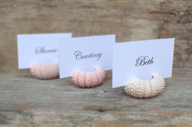 sea urchins used to hold wedding escort cards are ideal for a beach wedding, make them yourself