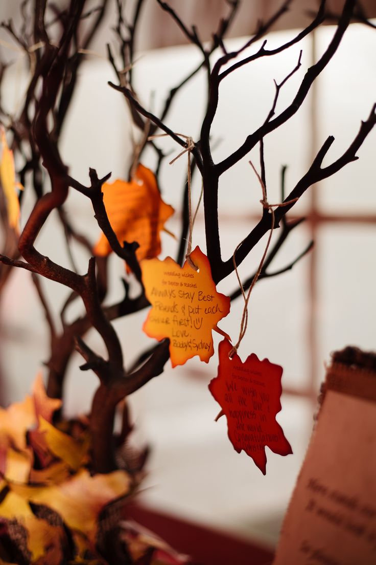 Tree branches with bright fall leaves of paper is a creative and simple idea for  fall wedding guest book