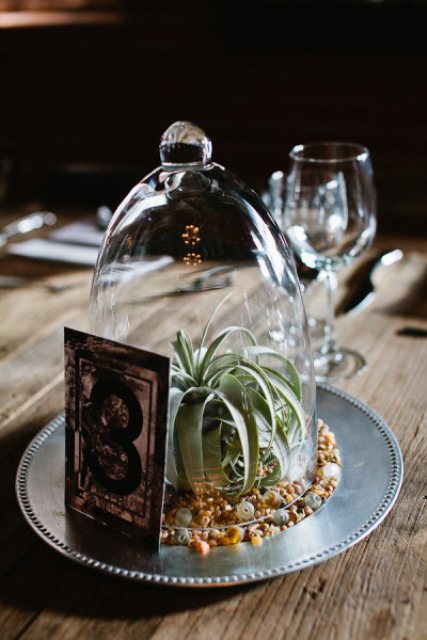 a cloche with sand, seashells, an air plant and a vintage table number for a modern wedding