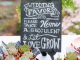 potted succulents are nice wedding favors for various weddings, succulents are very much in trend