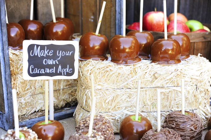 A candied, chocolate and glazed apple bar is ideal for a fall wedding