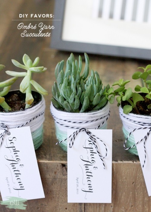 Cute And Personalized DIY Ombre Yarn Succulent Favors