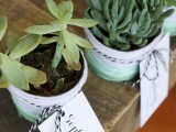 Cute And Personalized Diy Ombre Yarn Succulents Favors