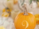 a pumpkin with a carved number placed on a doily is a lovely idea for a fall wedding