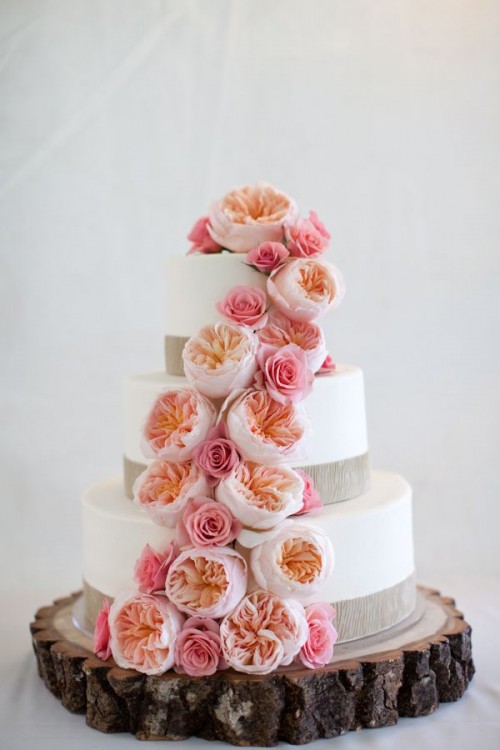 a white wedding cake with a burlap ribbon and with pink and peachy peony roses looks beautiful and chic