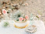 a coastal sweets table with airplants, peachy blooms and a cake decorated with an air plant and peachy blooms is amazing