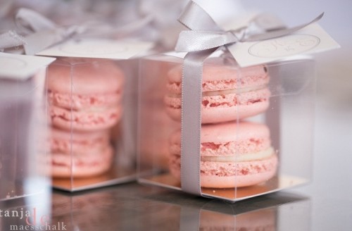 clear boxes with pink macarons are great and easy wedding favors, they won't break the budget