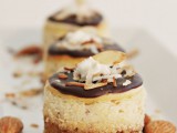 mini cheesecakes with chocolate on top and some salty caramel and dried fruits for a refined taste