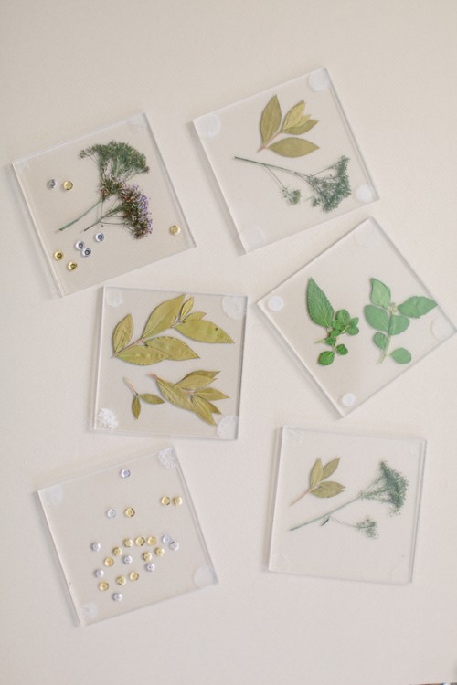 Diy Botanical Coasters For Decor Or As Favors