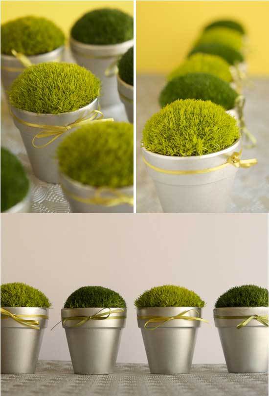 Diy Little Pots Of Moss As Summer Wedding Favors