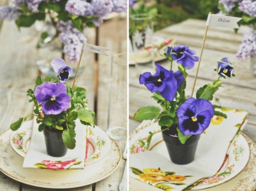 Diy Pansy Favors For Summer Weddings