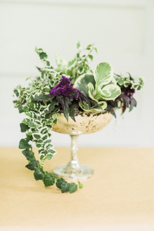 Easy DIY Living Plant Wedding Centerpieces