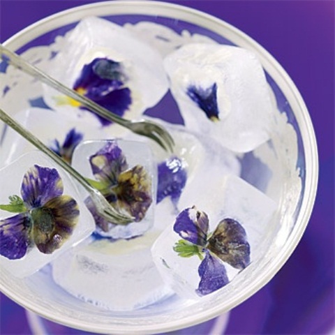 bright Impatiens flowers in ice cubes will accent your cocktails and even if you just place a bottle in such ice, it will look cooler