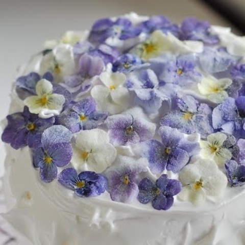 a textural white wedding cake decorated with pansies and violets looks veyr delicate, chic and beautiful and will fit a spring or summer wedding