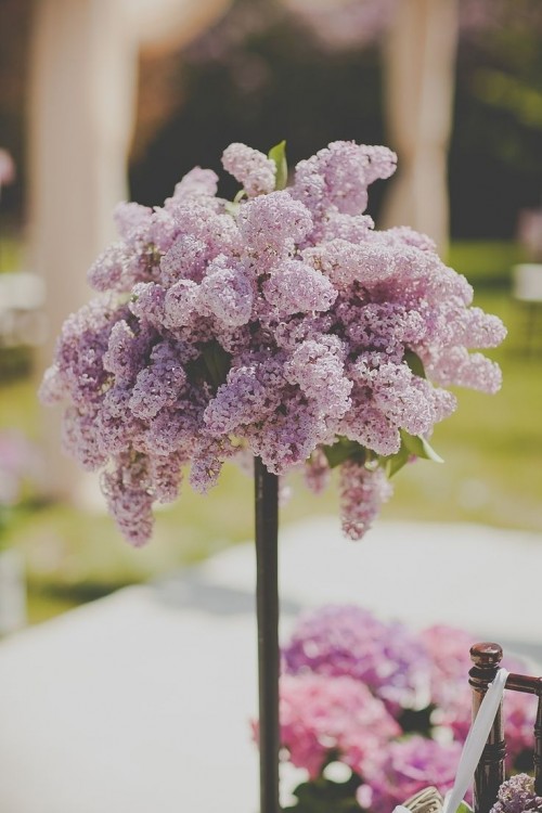 super lush lilac arrangements are ideal to line up the aisle in spring - these blooms scream spring at once
