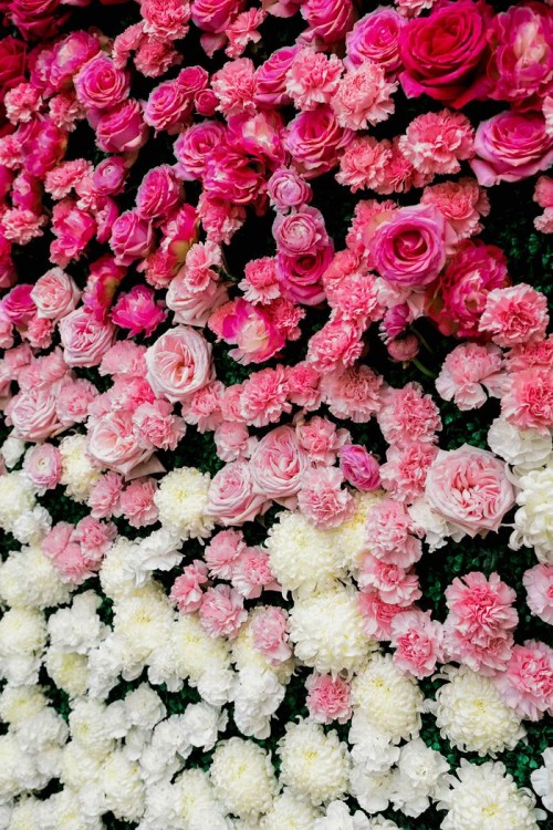 an ombre floral wall from hot pink to blush and white looks really beautiful and trendy