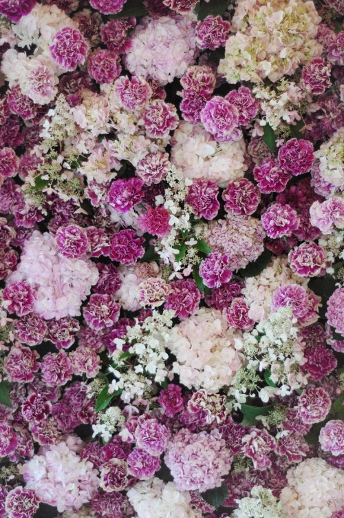 a super lush floral wall wedding backdrop with white and pink hydrangeas and fuchsia carnations