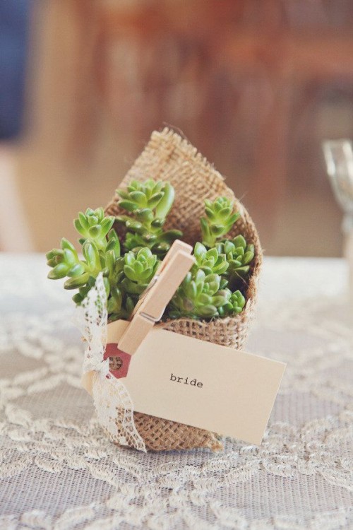 a cute wedding favor of a succulent wrapped in burlap, with a tag and a clothespin is a cute rustic idea