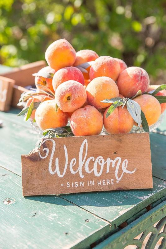 How to incorporate fruits into your wedding 22 fresh ideas  1