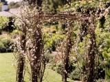 a spring wedding arch fully done of blooming branches is a cool idea for spring when everything is in bloom, too