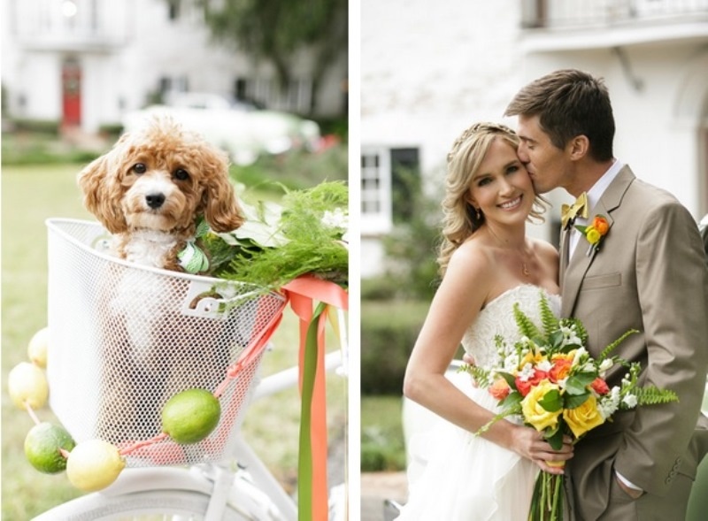 Intimate and cozy citrus wedding inspiration at peachtree house  3