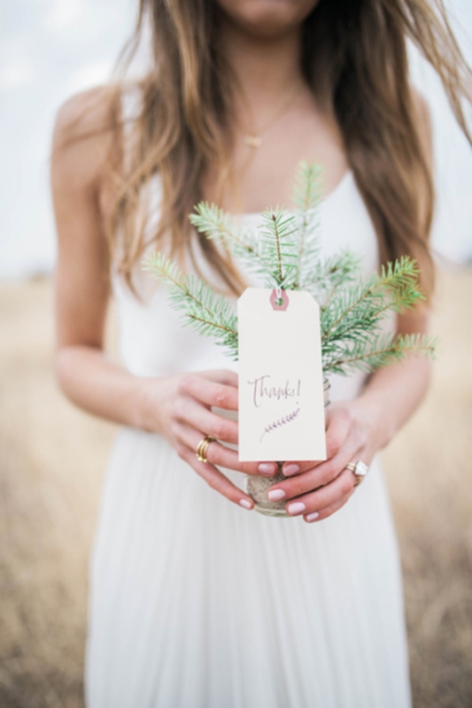 Picture Of light and beautiful wedding inspiration at alpaca farm  18