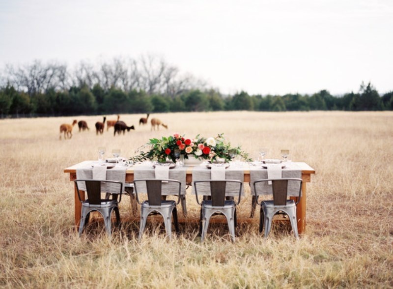Picture Of light and beautiful wedding inspiration at alpaca farm  2