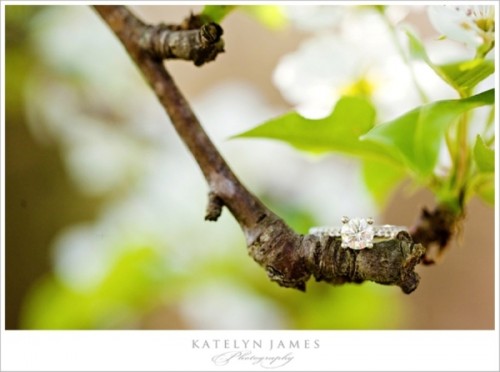 Magically Beautiful Engagement Ring Shoots
