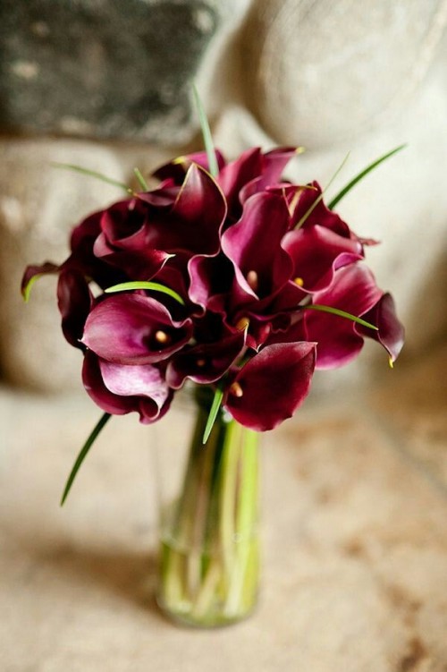 a marsala wedding bouquet of callas and greenery is a bold and cool statement for a fall or winter bride