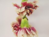 Pretty Diy Flower Garland For Your Spring Wedding Decor