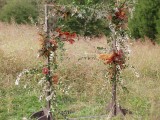 a bold fall woodland wedding arch decorated with greenery and rust foliage is a lovely idea for a woodland wedding