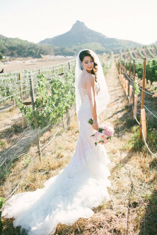 a sexy lace strapless mermaid wedding dress with a train and a cathedral veil for a vineyard bride