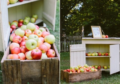 Rustic Indiana Wedding In An Apple Orchard