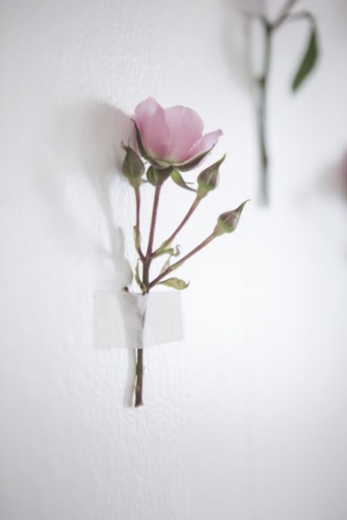 Simple And Lovely Diy Wild Rose Wedding Backdrop