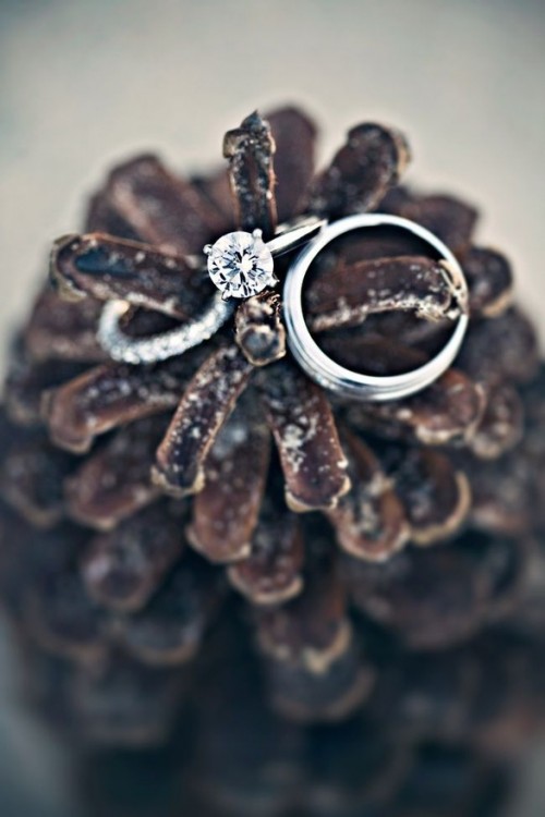 show off your wedding rings on an oversized pinecone showing that this is a winter wedding