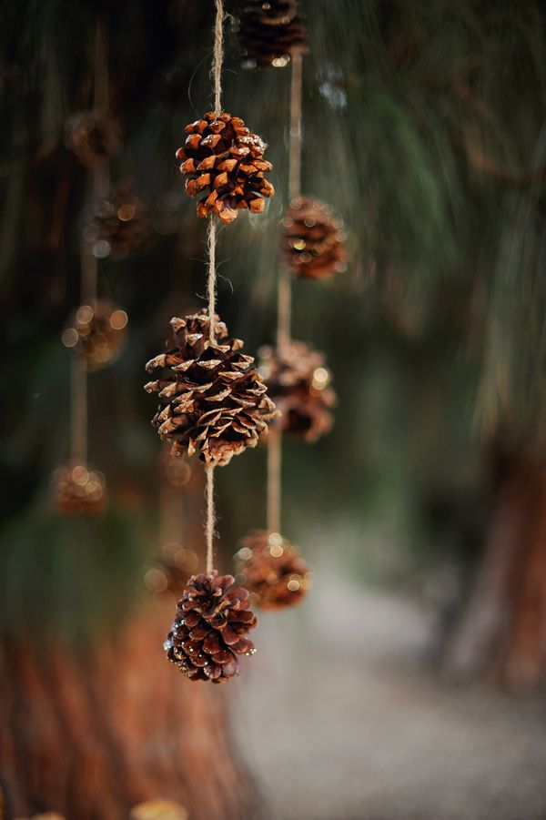 Pinecone garlands hanging over the reception, ceremony space or somewhere else are a lovely natural touch for a winter wedding